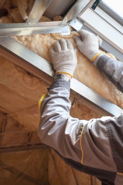 Best Weatherproofing Services  in Lillington, NC