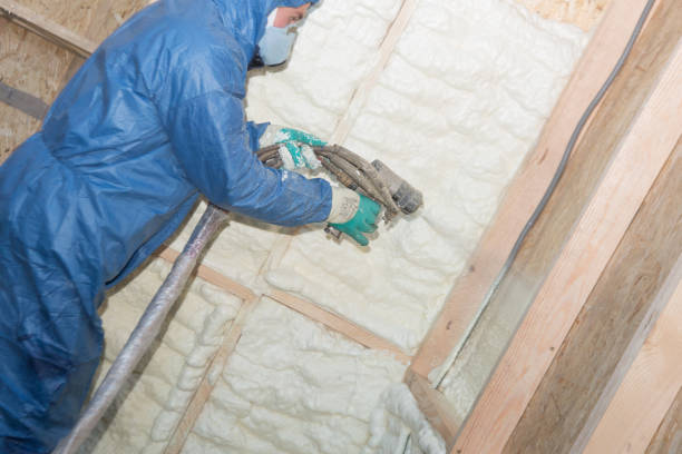 Best Basement Insulation  in Lillington, NC