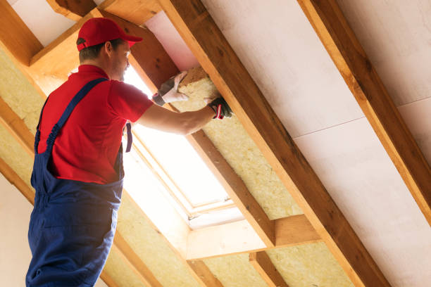 Best Attic Insulation Installation  in Lillington, NC